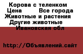 Корова с теленком › Цена ­ 69 - Все города Животные и растения » Другие животные   . Ивановская обл.